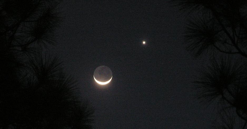 Moon and Venus, overexposed to show earthshine and tree silhouettes.